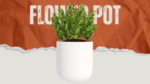 Sanitary ware and fittings,"Image of a colorful flower pot (gamla) with vibrant blooms, adding a pop of color to any space,