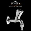 Sonex