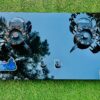 Foldable Kitchen HOB - Temperature Control Imported - Gas Stove