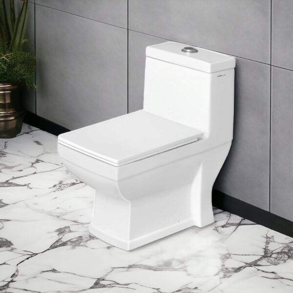 Dell Diamond Commode, commode, commode toilet, bathroom commode, commode seat, toilet seats, wc commode,