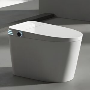 Automatic Smart Toilet with Advanced Features