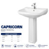 Brite Capricorn wash basin