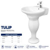 Brite Tulip wash basin