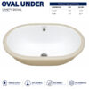Premium under counter oval vanity wash basin by Dell