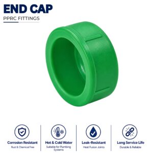 End Cap - Nizam PPRC